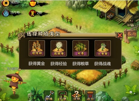 琵琶网枭雄种植